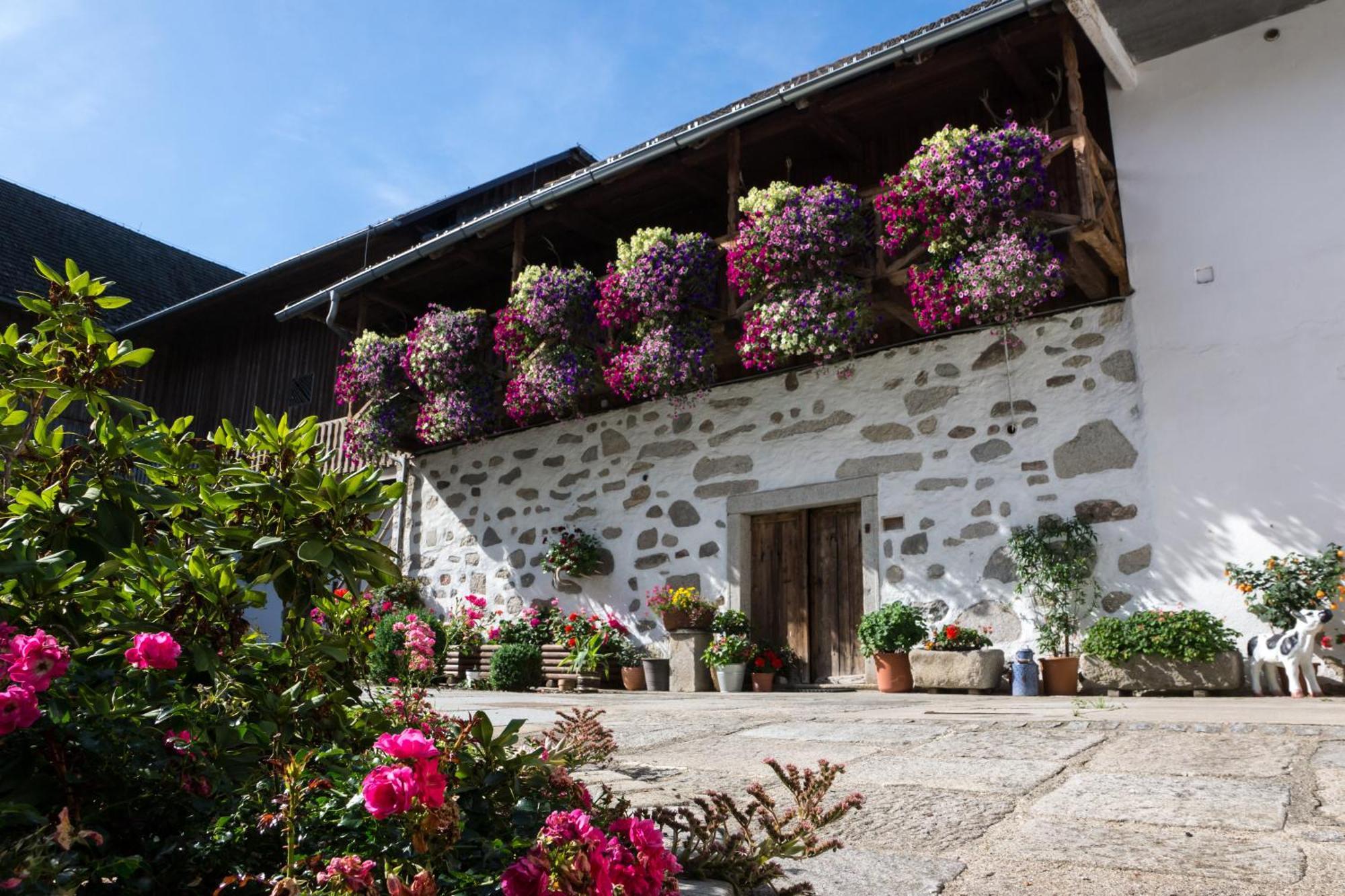 Gasthof Pammer Hotel Mardetschlag Buitenkant foto